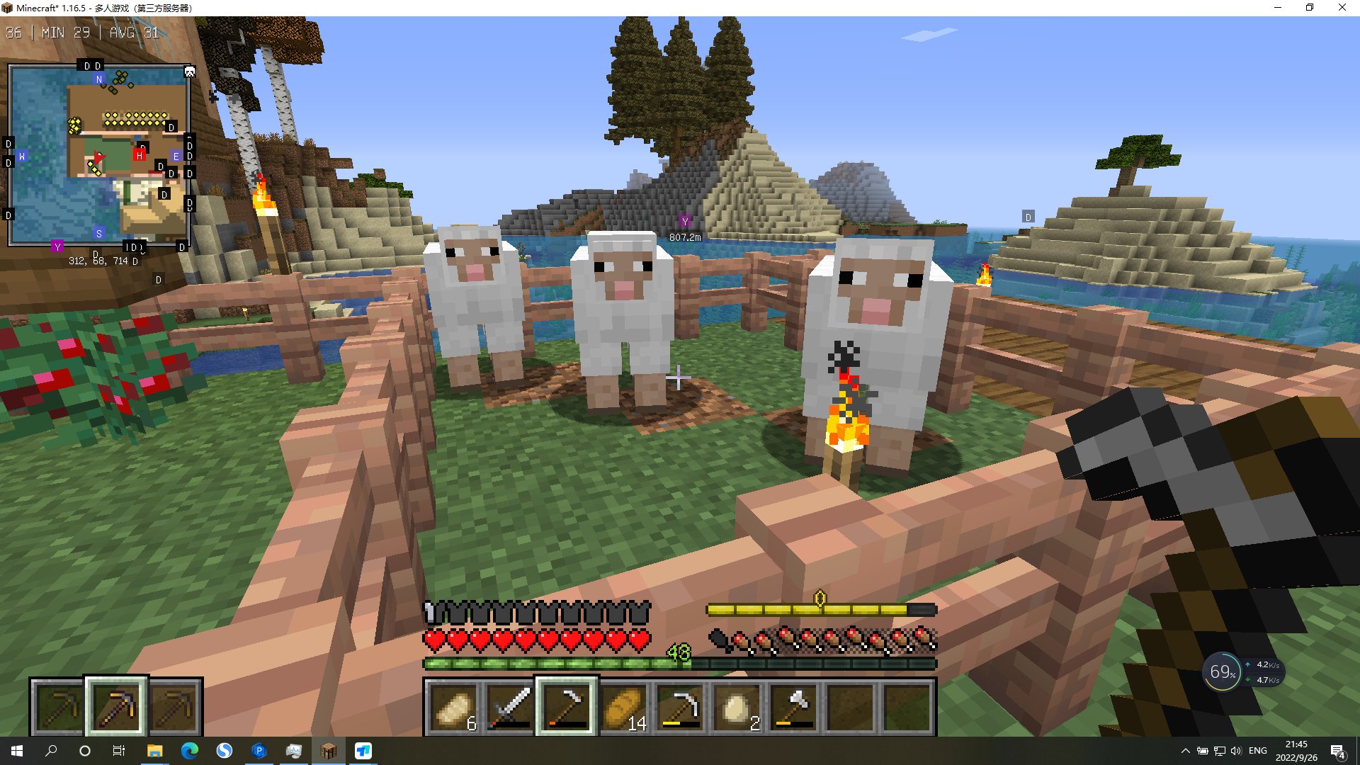 糖豆人：终极淘汰赛 年度版 截图3