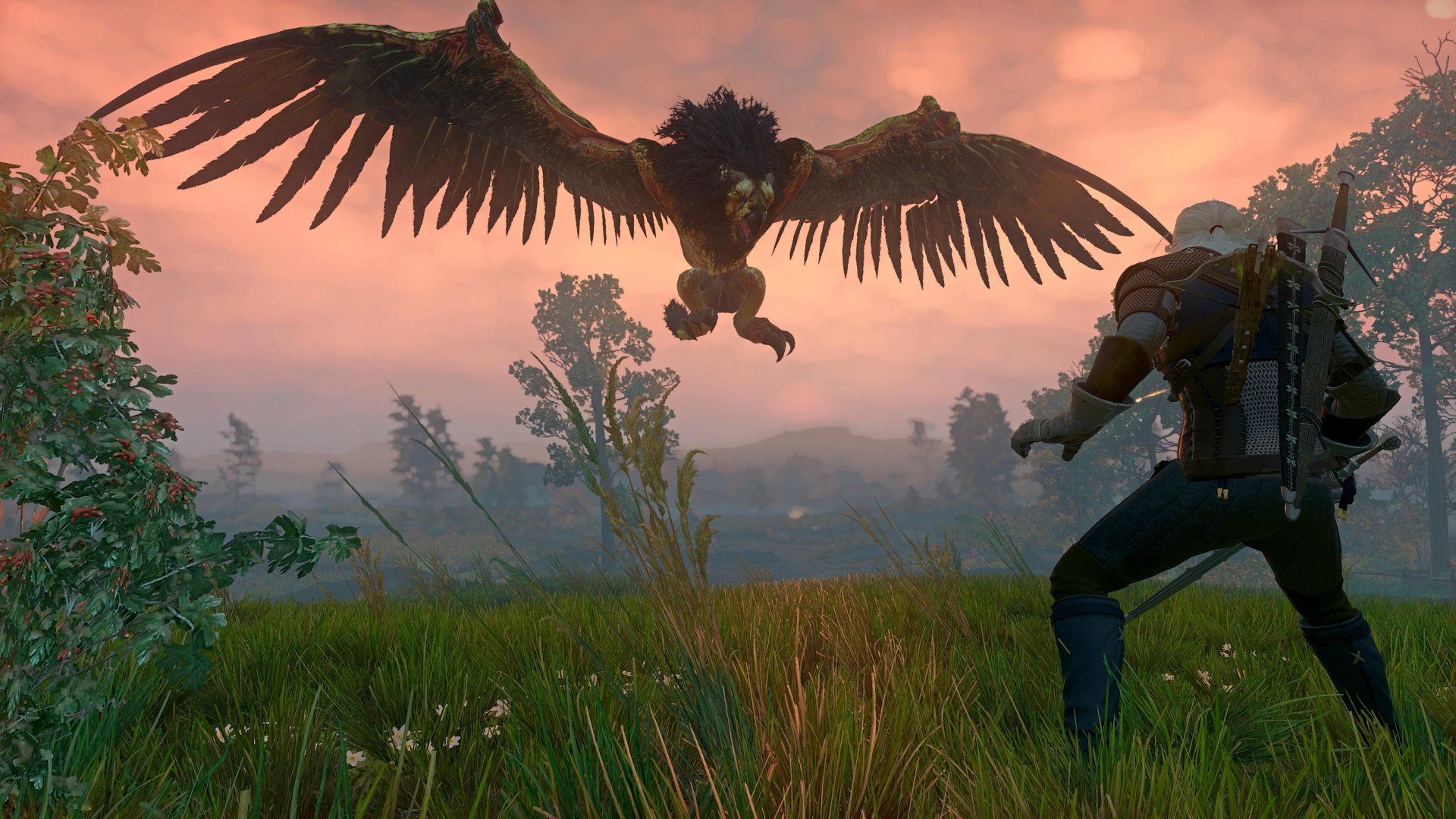 巫师3：狂猎 完整版 截图10