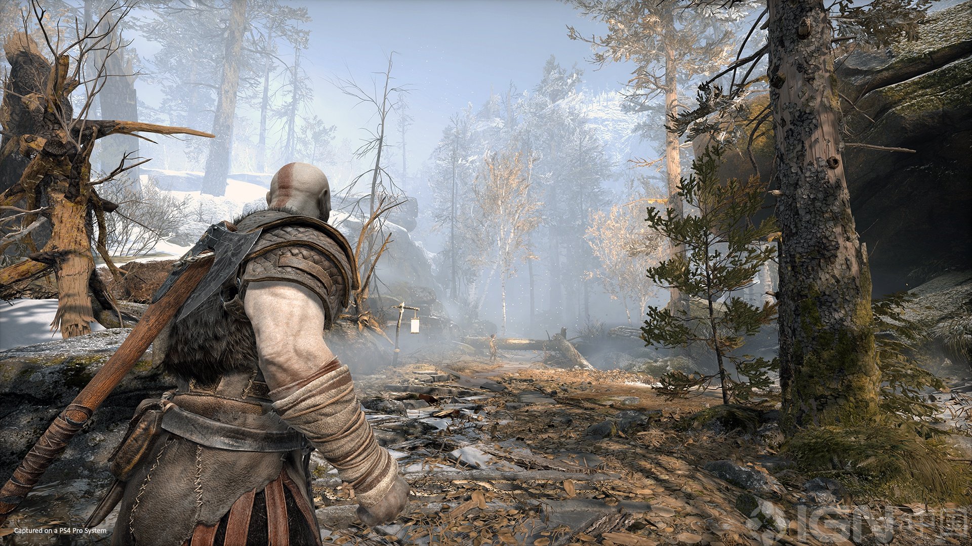 F1 2024 豪华版 截图5