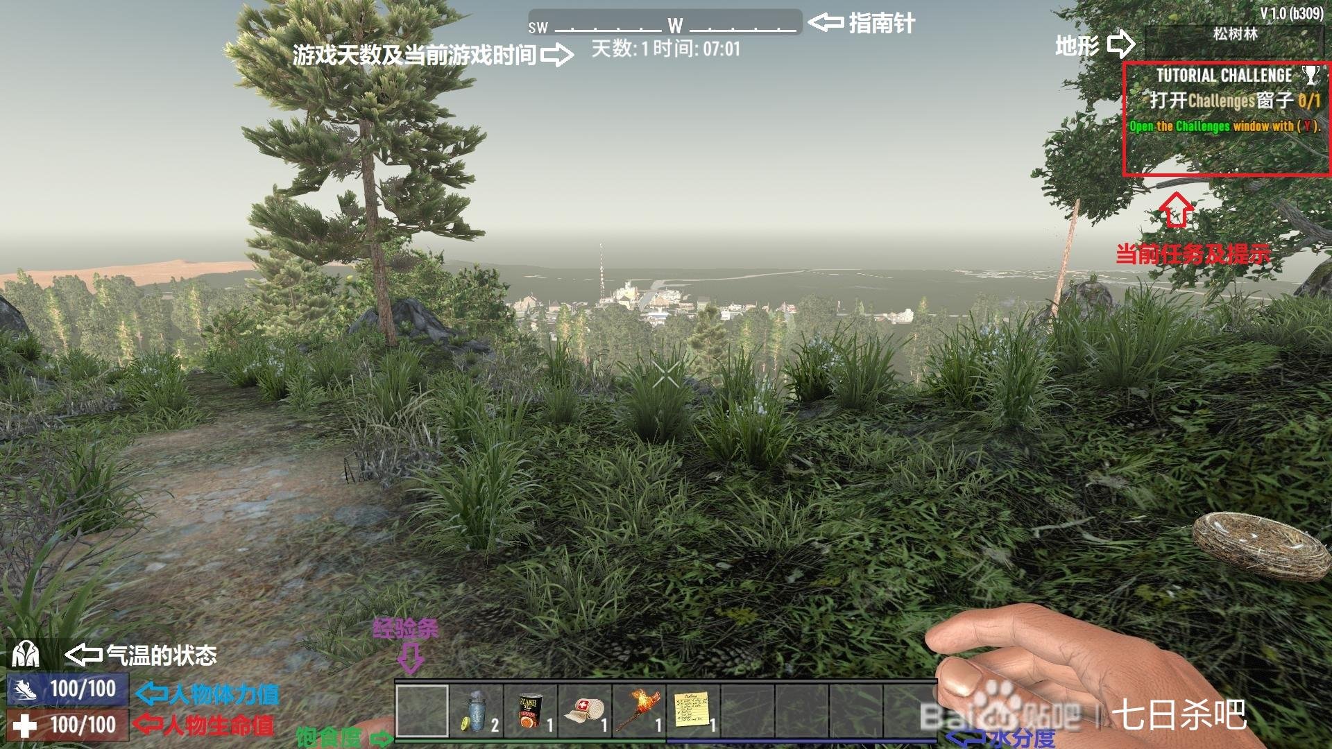 巫师3：狂猎 年度版 截图8