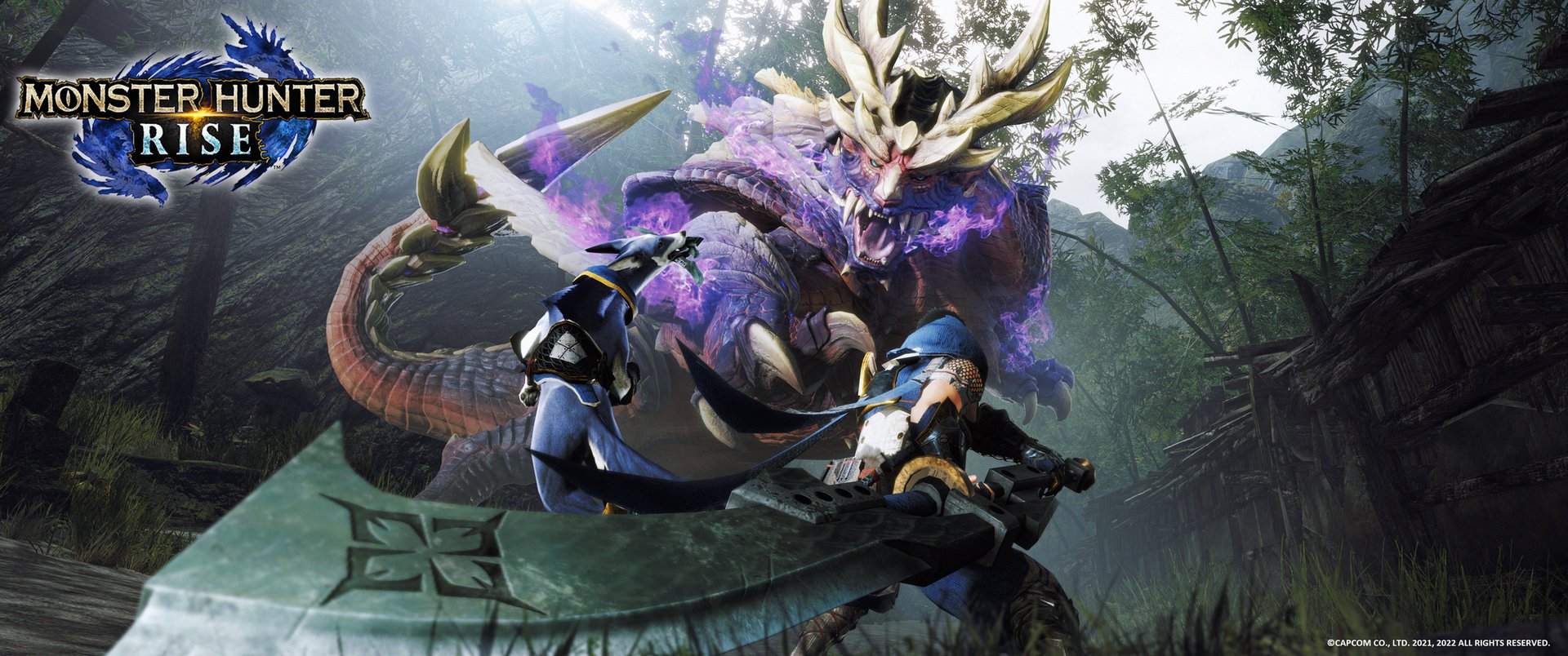 F1 2024 豪华版 截图4