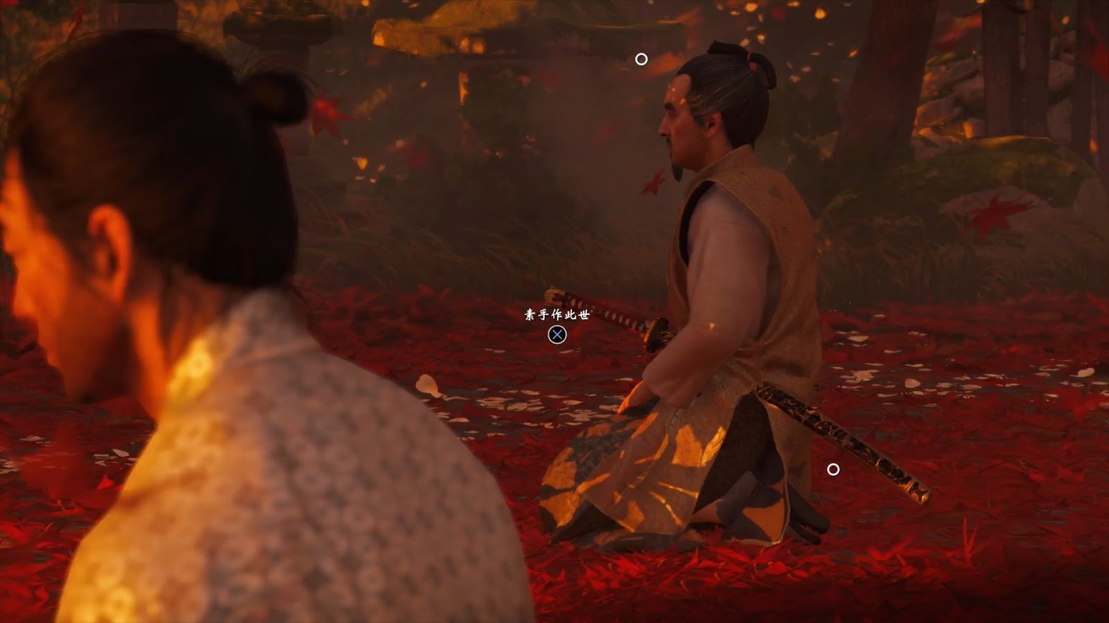 巫师3：狂猎 年度版 截图11